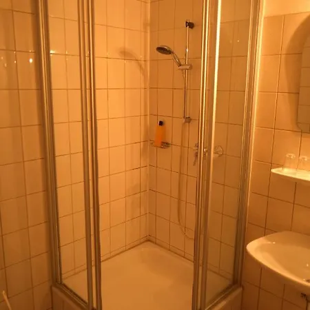 Zur Linde 3* سالزجيتر