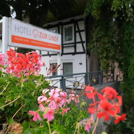 Zur Linde Bed & Breakfast 3*