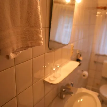 Zur Linde 3* سالزجيتر