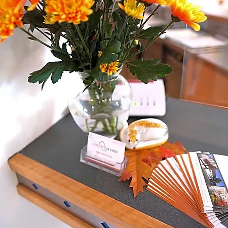 Zur Linde Bed & Breakfast