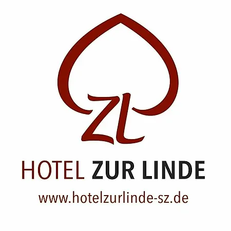 Zur Linde فندق مبيت وإفطار سالزجيتر